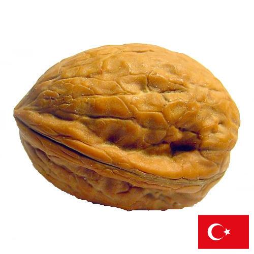 Скорлупа грецкого ореха из Турции