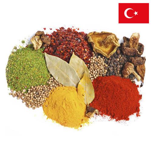 Специи и пряности из Турции