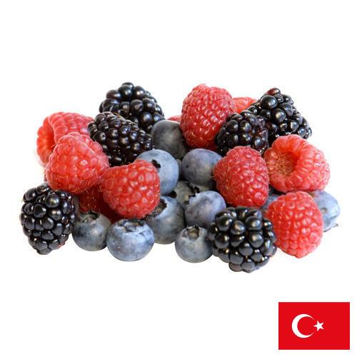 сублимированные ягоды из Турции