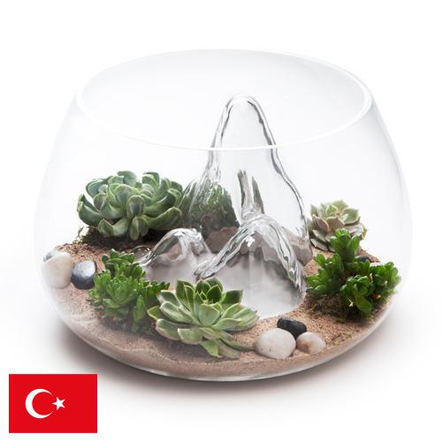 Террариумы из Турции