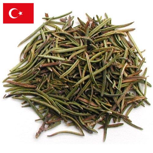Травы сушеные из Турции
