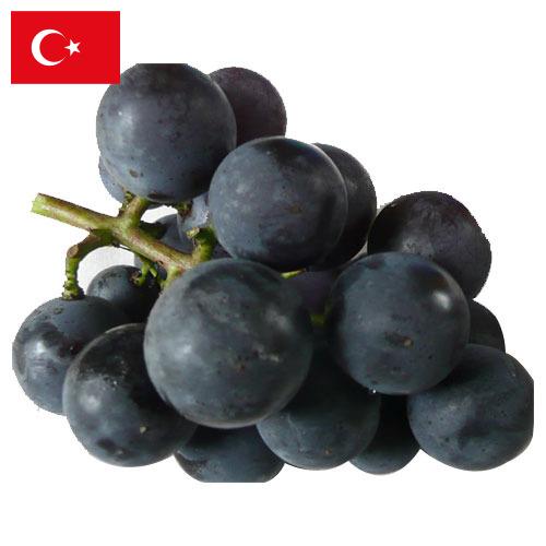 виноград столовый из Турции