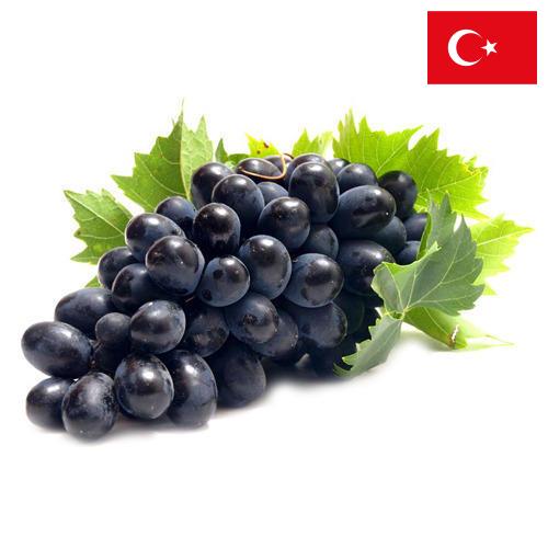 Виноград из Турции