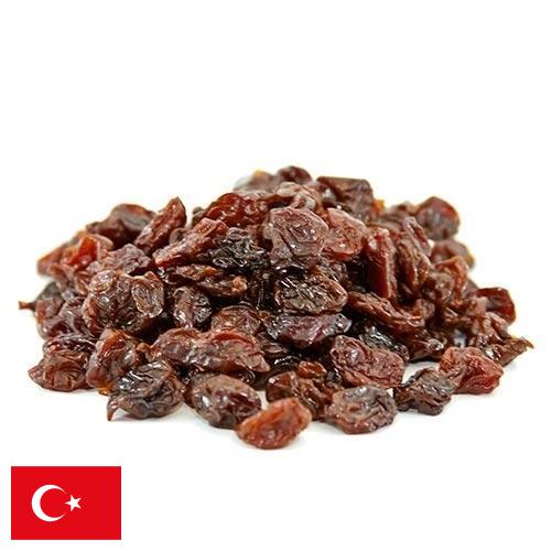 Вишня сушеная из Турции