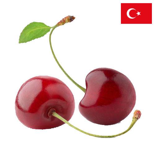 Вишня из Турции