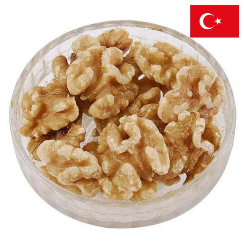 Ядра орехов из Турции