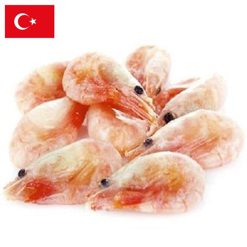 замороженные креветки из Турции
