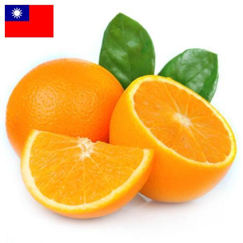 апельсины свежие из Тайваня