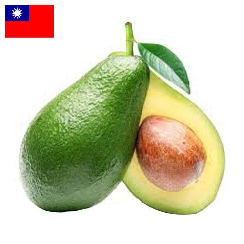 Авокадо из Тайваня