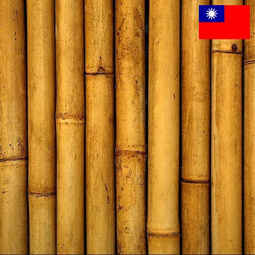 Бамбук из Тайваня