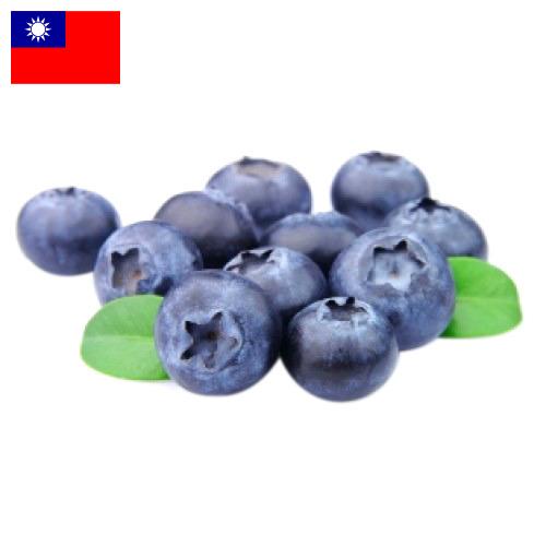 Черника из Тайваня