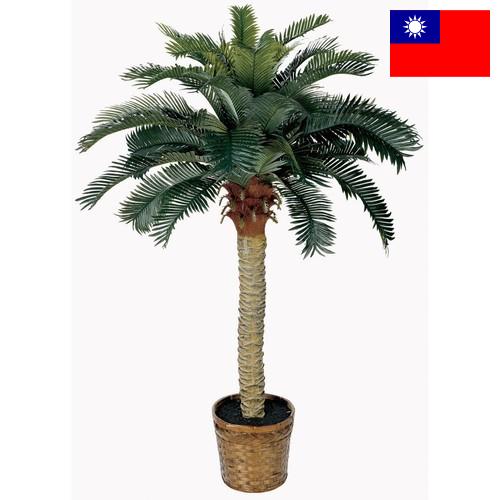 Деревья искусственные из Тайваня