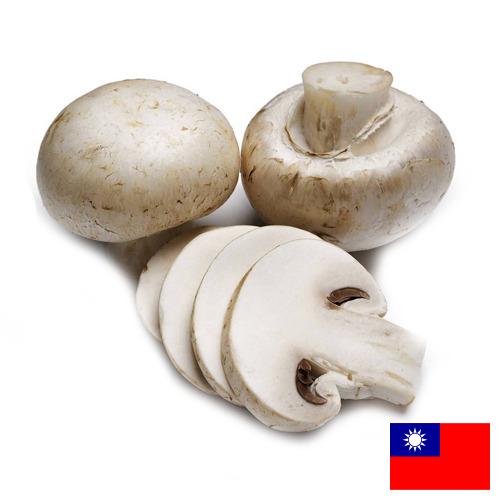 Грибы из Тайваня
