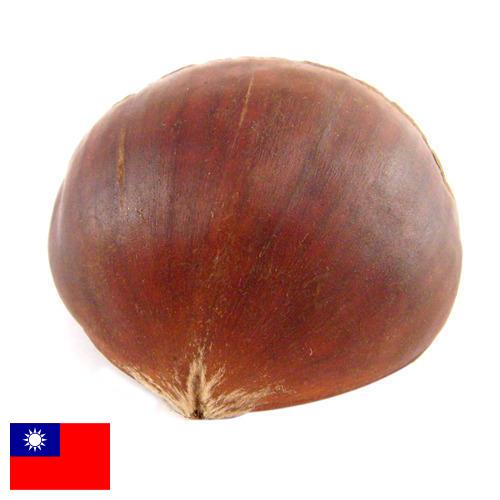 Каштан из Тайваня