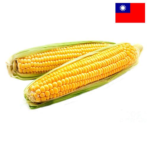 Кукуруза из Тайваня