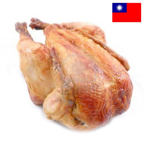 Кура из Тайваня (Китая)