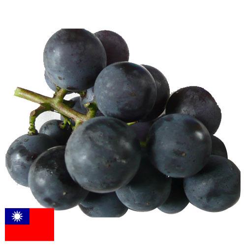 виноград столовый из Тайваня