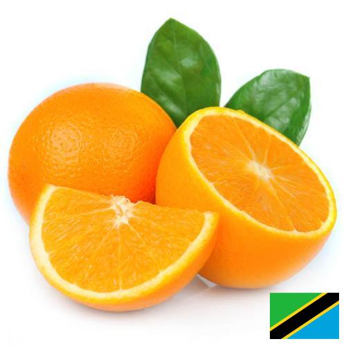 апельсины свежие из Танзании