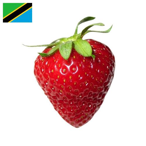 Клубника из Танзании