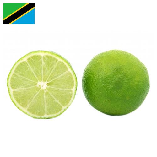 лайм из Танзании