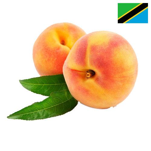 Персики из Танзании