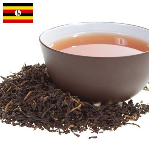 чай черный байховый из Уганды