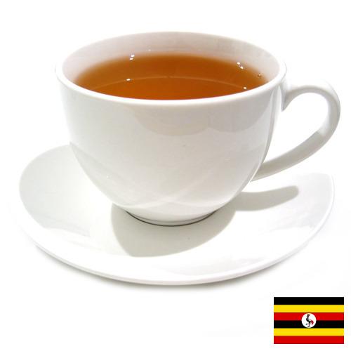 Чай из Уганды