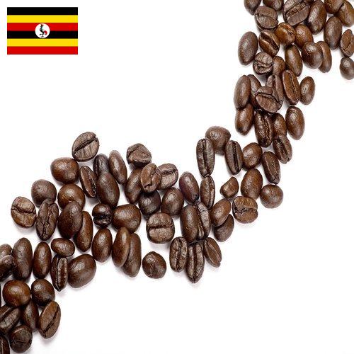 Кофе в зернах из Уганды