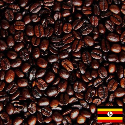 кофе жареный молотый из Уганды