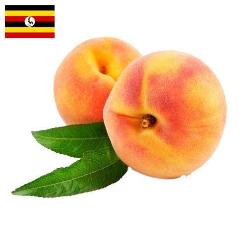 Персики из Уганды