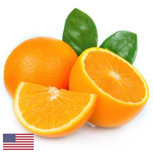 апельсины свежие из США