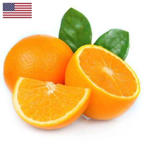Апельсины из США