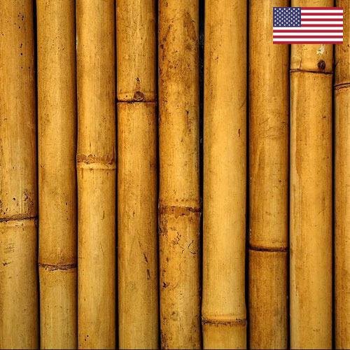 Бамбук из США
