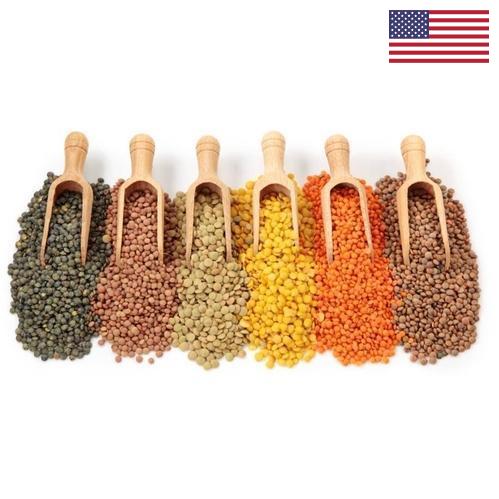 Бобовые культуры из США