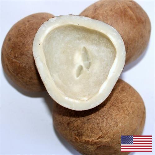Кокос сушеный из США
