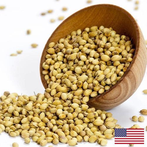 Кориандр из США