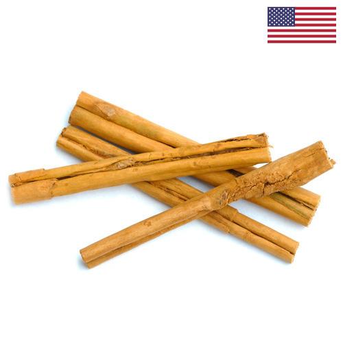 Корица из США