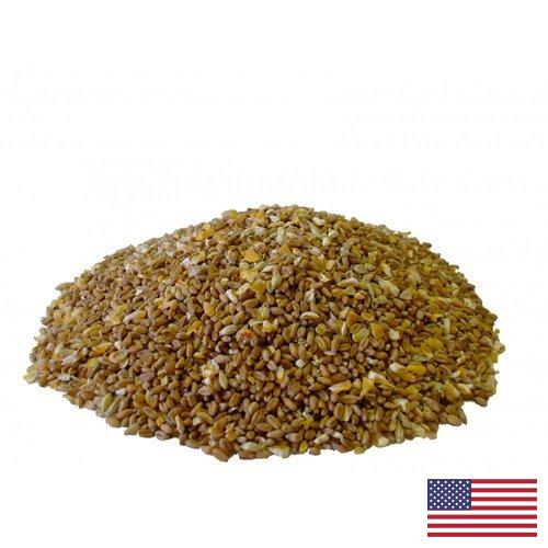 Корма для птицеводства из США