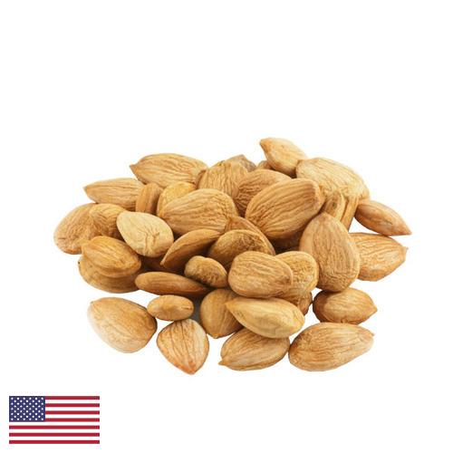 косточки абрикоса из США