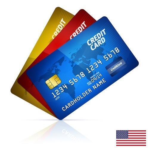 Кредитницы из США