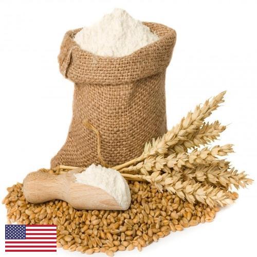 мука пшеничная хлебопекарная высший сорт из США
