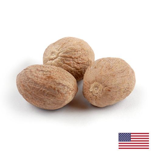 Мускатный орех из США
