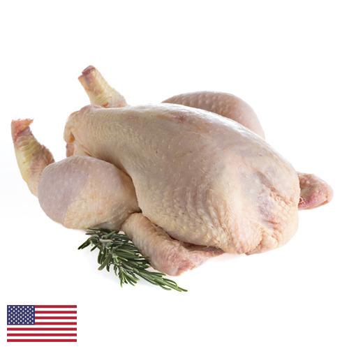 мясо птицы тушка из США