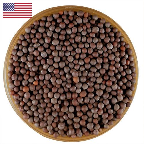 семена горчица из США