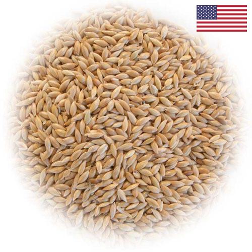 семена трав из США