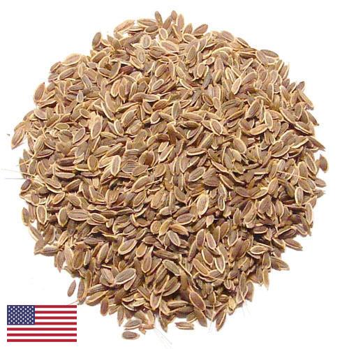 Семена укропа из США