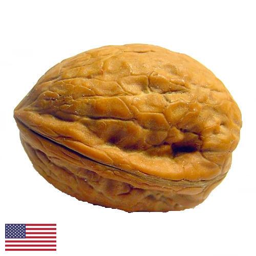 Скорлупа грецкого ореха из США