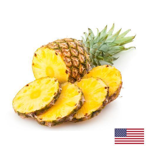 сок ананасовый из США
