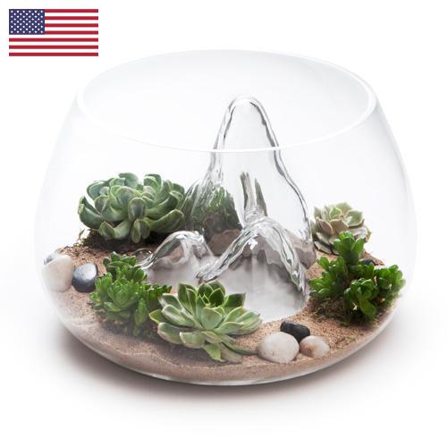 Террариумы из США