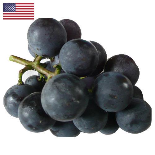 виноград столовый из США